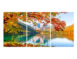 Yellow Autumn Trees Wall Art