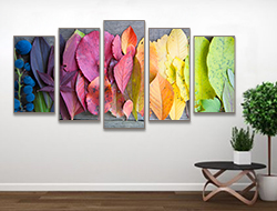 Rainbow Leaves 5 Panel Wall Art