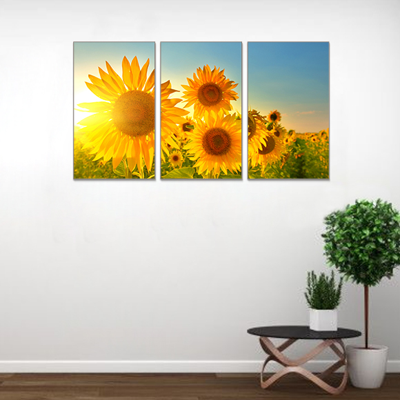 Morning Sun Flower 3 Panel Wall Art
